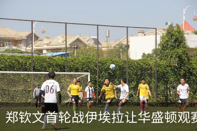 郑钦文首轮战伊埃拉让华盛顿观赛热情飙升，张帅意外出局爆出大冷
